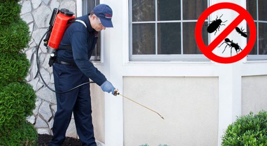 Kilimli Bit İlaçlama böcek ilaçlama ve haşere kontrolü — ilaclama-tr.com